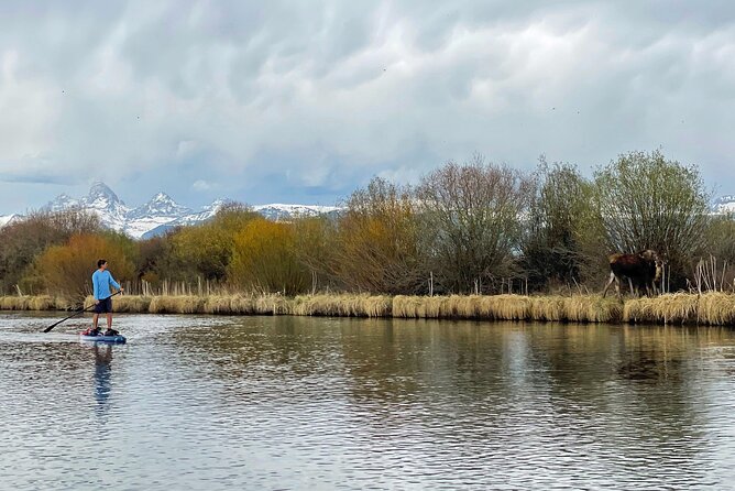 Teton River Paddleboard Adventure - 4.5 Miles - Comparing This Tour to Other Idaho Water Activities