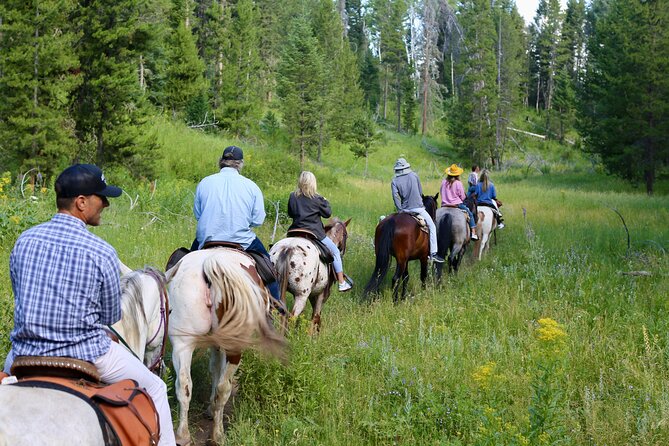 Teton View Horse Riding with Lunch - Wildlife Encounters in the Bridger Teton Forest