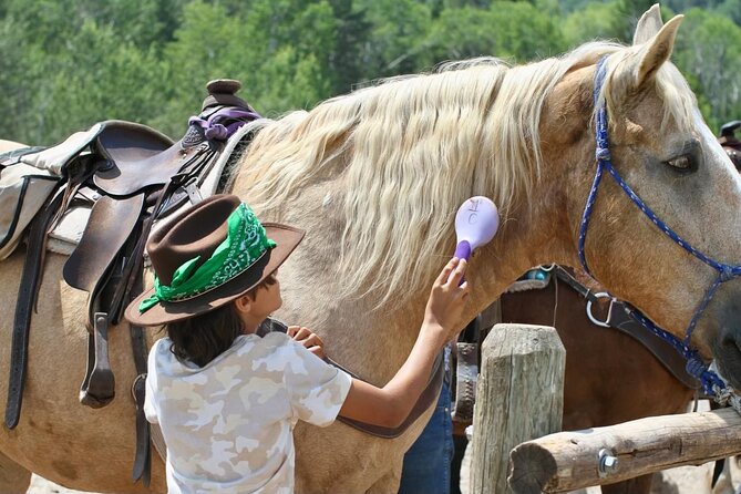 Teton View Horse Riding with Lunch - Value and Booking Insights