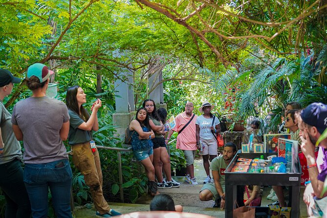 Texas Discovery Gardens General Admission - Discover Dallas’ Texas Discovery Gardens for $12