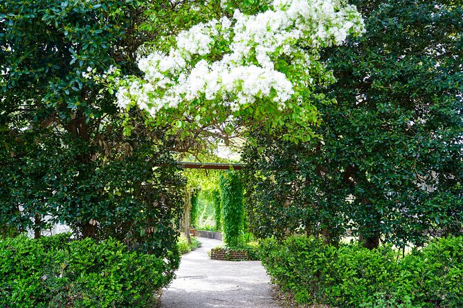 Texas Discovery Gardens General Admission - Picnic Areas and Family-Friendly Facilities