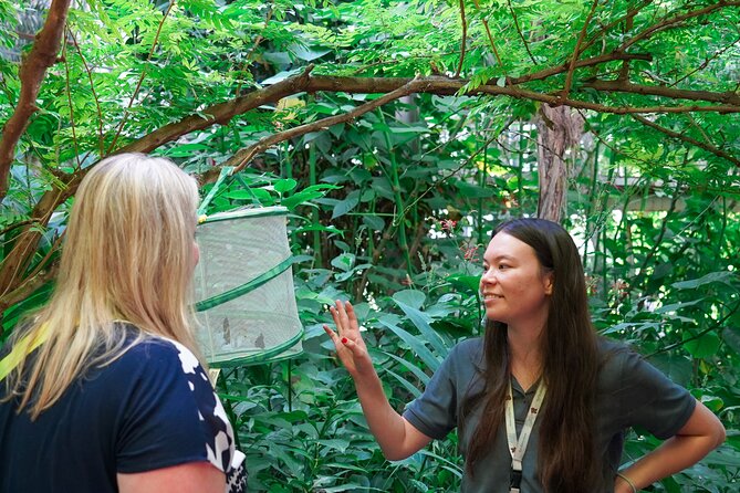 Texas Discovery Gardens General Admission - Accessibility and Practical Information