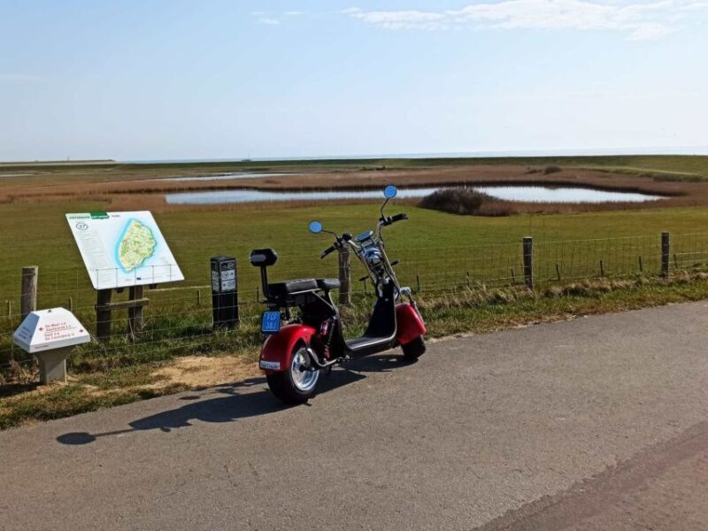 Texel: E-Scooter Rental - Explore Texel in a Fun and Eco-Friendly Way