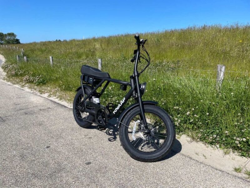 Texel: Electric Fatbike Rental with Map - The Experience of Riding in Texels Natural Landscapes