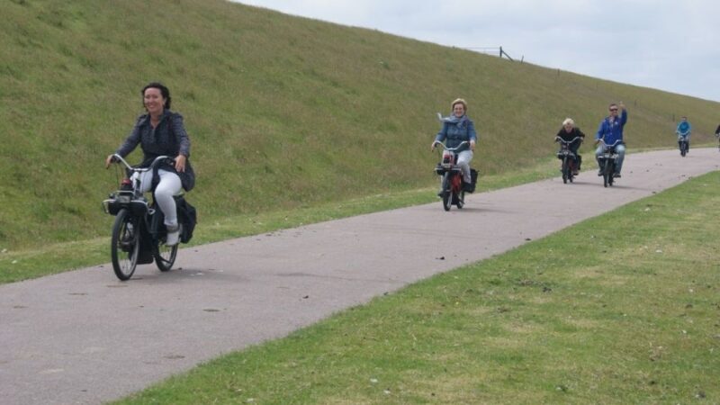 Texel: Solex Moped Rental - The Challenge of Consistency: Lessons from Reviews