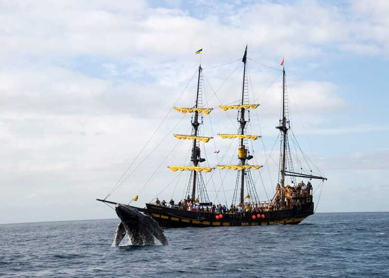 Thar She Blows! Whale Watching Pirate Cruise - Frequently Asked Questions