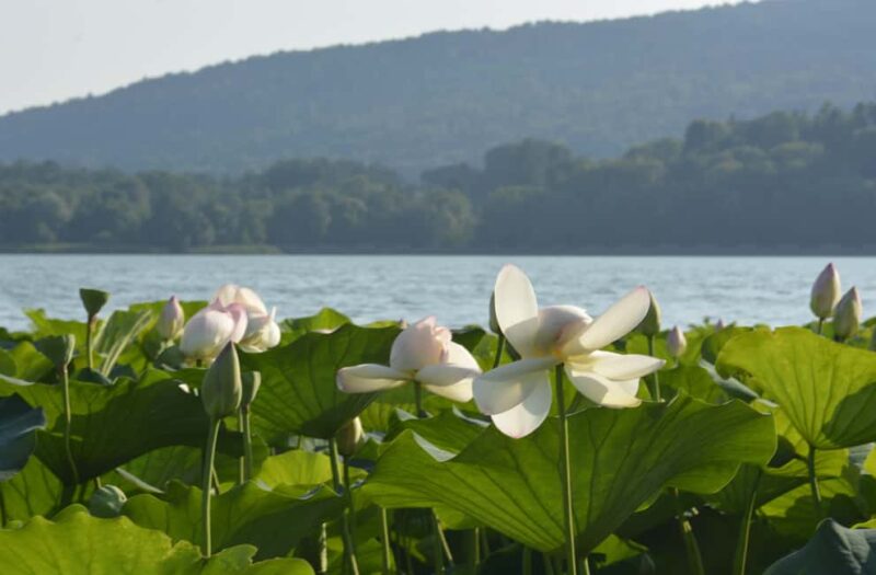 The 7 Lakes of Varese: Coach Trip to Discover the Province - The Iconic Giant Bench at Varano Borghi