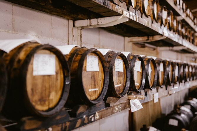 The art of Parmigiano Reggiano and real Balsamic vinegar - Discover the Art of Making Parmigiano Reggiano and Balsamic Vinegar in Modena