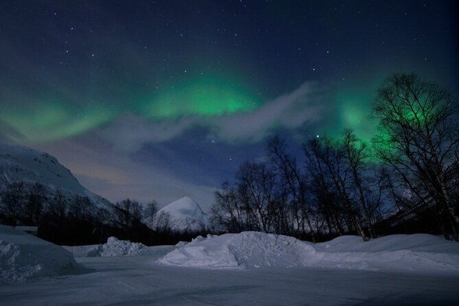 The Aurora Tour - VIP trip for northern lights, aurora borealis - Key Points