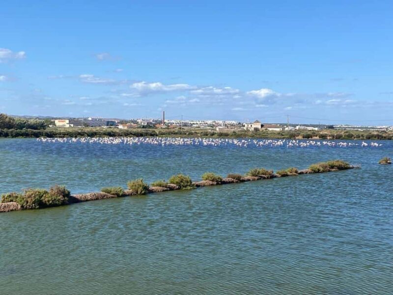 The authentic Algarve by bike: Between villages, beaches, and nature - Scenic Ride Through Salt Pans and the Hinterland