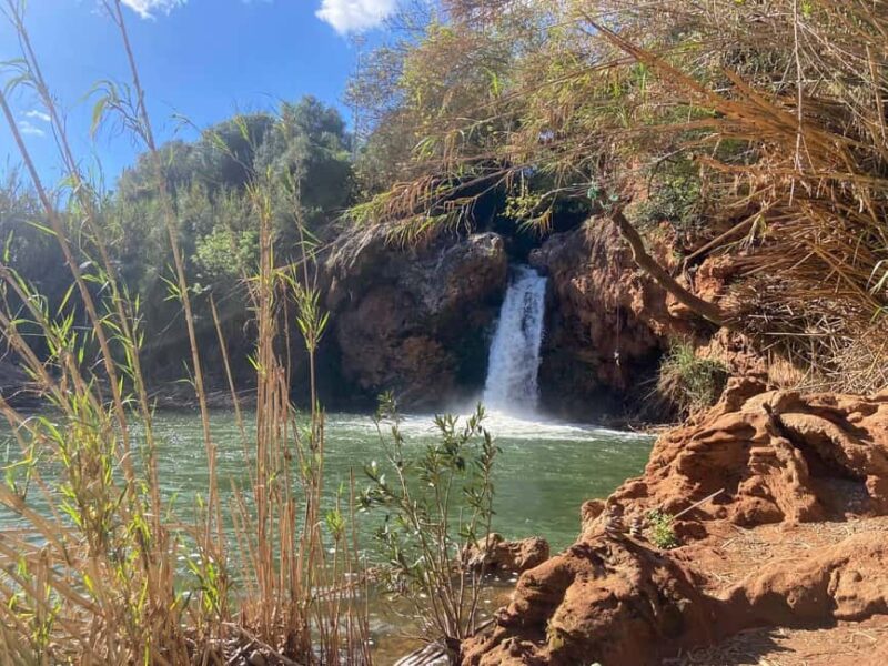 The authentic Algarve by bike: Between villages, beaches, and nature - Lunchtime at a Local Restaurant