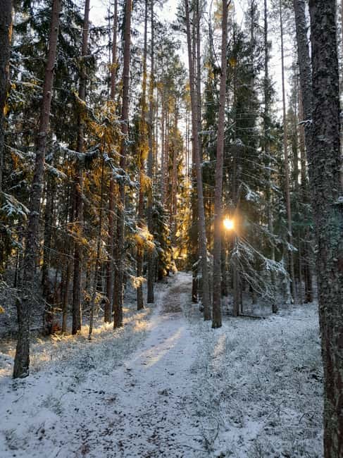 The Authentic Lahemaa daytour Carmen reisid - Visiting Viru Raba and the Frozen Bog Lakes