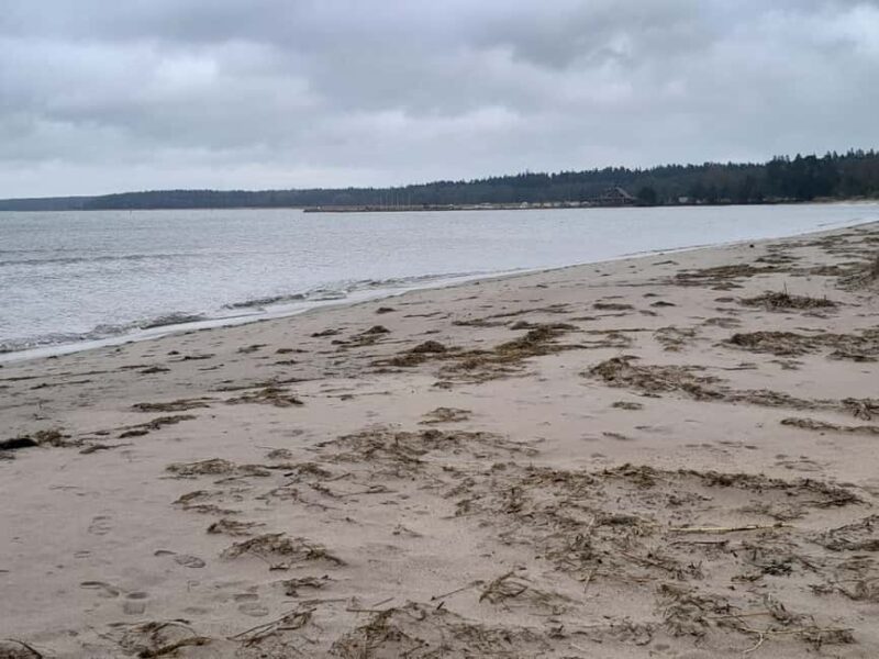 The Authentic Lahemaa daytour Carmen reisid - The Jägala Waterfall: A Nature’s Showcase