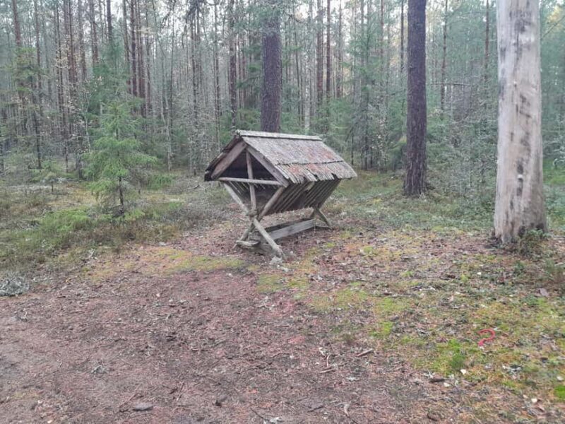 The Authentic Lahemaa daytour Carmen reisid - Practical Details and Tour Logistics