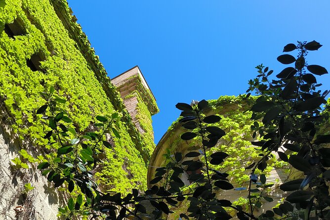 The Authentic Rioja Alavesa wine experiences - Logistics, Flexibility, and Guest Experience