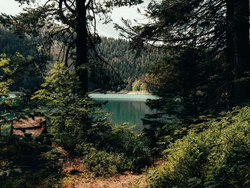 The Balkan Tour  5 Countries in 6 Days from Tirana, Albania - Zipping Through Montenegro: Zabljak and Kotor