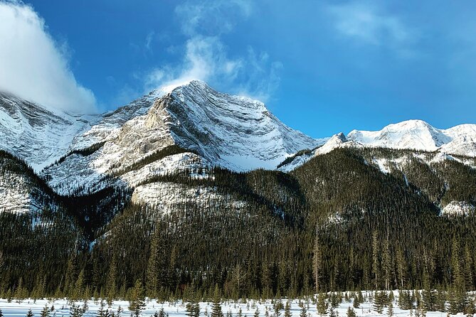 The BANFF NATURE Walk - 2hr Adventure - The Value of a 2-Hour Nature Walk
