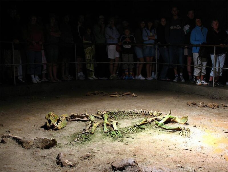 The Bear's cave: 1 day airconditioned car tour from Oradea - From Oradea to the Cave: A Comfortable One-Hour Drive