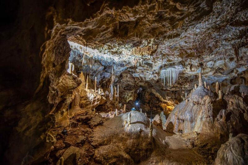 The Bear's cave: 1 day airconditioned car tour from Oradea - Inside the Cave: The Hall of Bones and Other Chambers