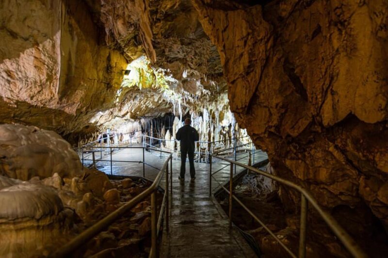The Bear's cave: 1 day airconditioned car tour from Oradea - Practical Details: What to Bring and What to Avoid