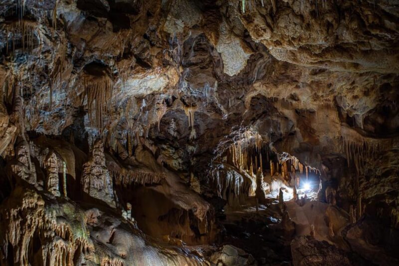 The Bear's cave: 1 day airconditioned car tour from Oradea - Tour Logistics: Group Size, Guides, and Flexibility