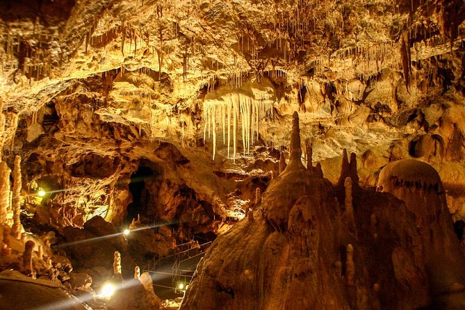 The Bear's Cave - One-Day Air conditioned car Tour from Oradea - Key Points