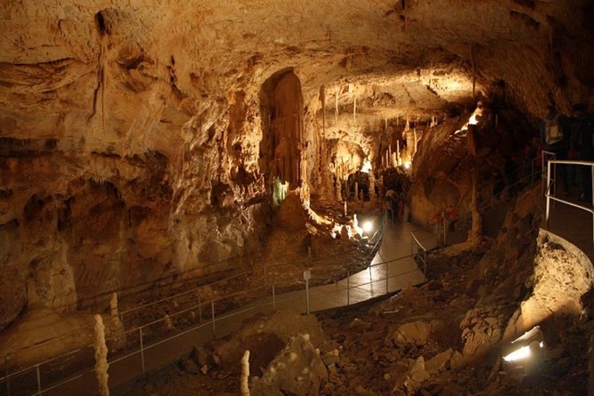The Bear's Cave - One-Day Air conditioned car Tour from Oradea - The Guide’s Expertise and Additional Information