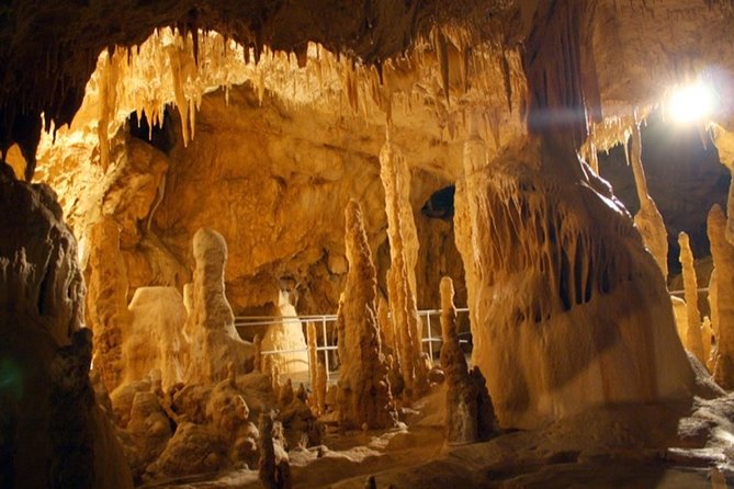The Bear's Cave - One-Day Air conditioned car Tour from Oradea - Practical Details: Booking, Timing, and Additional Costs