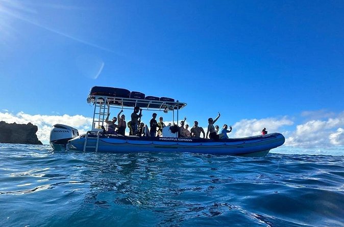 The Best 10 am 1.5 Hour Whale Watching Tour - The Experience of Listening to Whale Songs