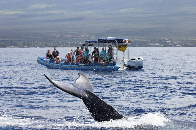The Best 10 am 1.5 Hour Whale Watching Tour - How the Crew Ensures a Memorable Encounter