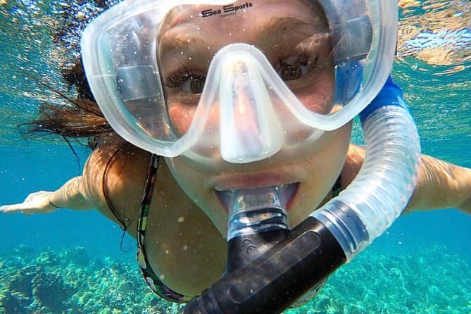 The Best 2.5 Hour Molokini Snorkel Tour & Whale Watch - The Guides and Crew Experience