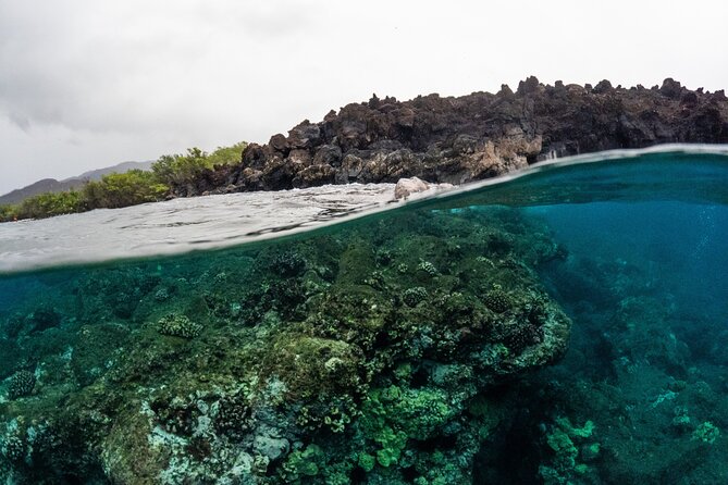 The Best 2.5 Hour Molokini Snorkel Tour & Whale Watch - Pricing and Booking Insights