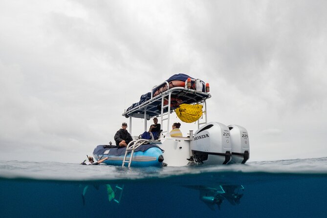 The Best 2 Hour Molokini Express Snorkeling - Discover the Best 2 Hour Molokini Express Snorkeling in Maui