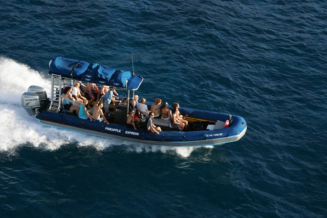 The Best 4 hour inclusive Kanaio Sea Caves and La Perouse Snorkel - Snorkeling at La Perouse Bay and Molokini Crater