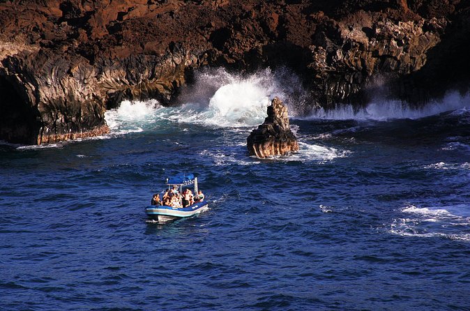 The Best 4 hour inclusive Kanaio Sea Caves and La Perouse Snorkel - Why Choose This Tour?