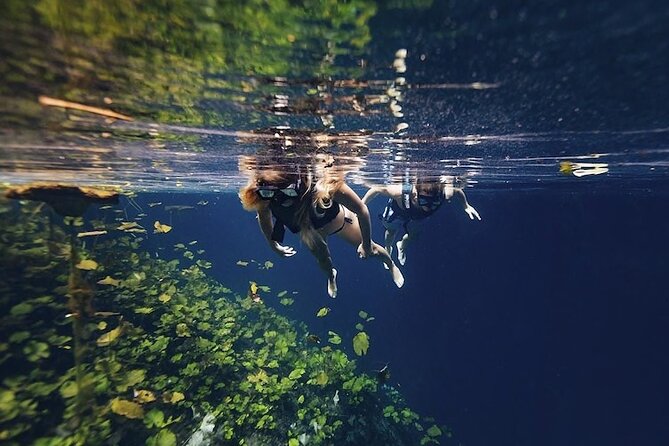 The best adventure Atvs, Cenote and Transportation Included - Exploring the Cenotes in Cancuns Jungle