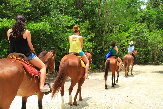 The best ATVs, zipline and cenote tour with lunch and transportation included - Horseback Riding Along Forest Trails
