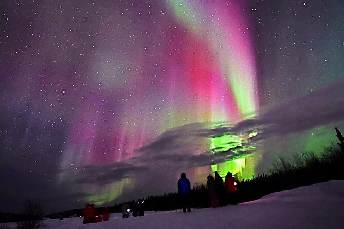The Best Aurora Tour - Experience the Northern Lights in Yellowknife for $92.79