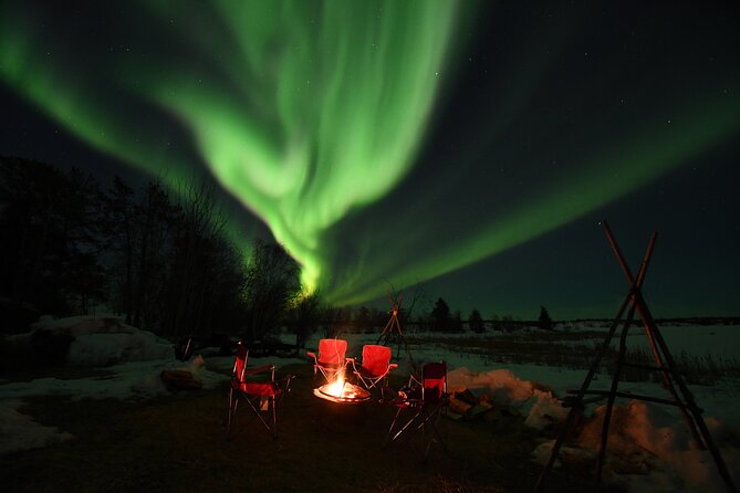 The Best Aurora Tour - Food, Drinks, and Comfort at the Campsite