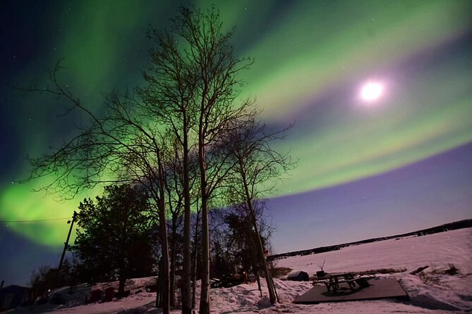 The Best Aurora Tour - The Experience of Seeing the Aurora