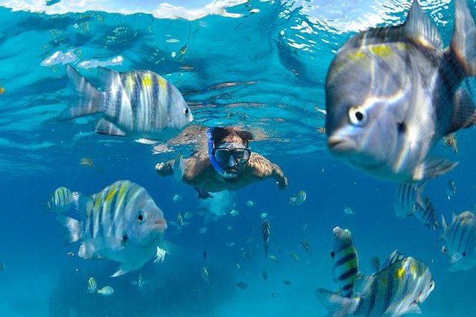 The Best Catamaran Tour to Isla Mujeres from Cancún - Food, Drinks, and Amenities Aboard