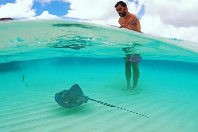 The Best Cozumel Snorkeling Tour Palancar, Colombia and El Cielo Reefs - Snorkeling and Cave Exploration at the Reefs