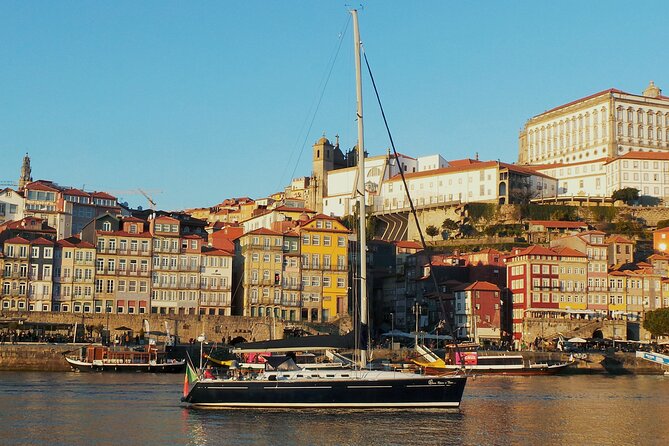 The Best Douro Boat Tour - Practical Tips and Comfort