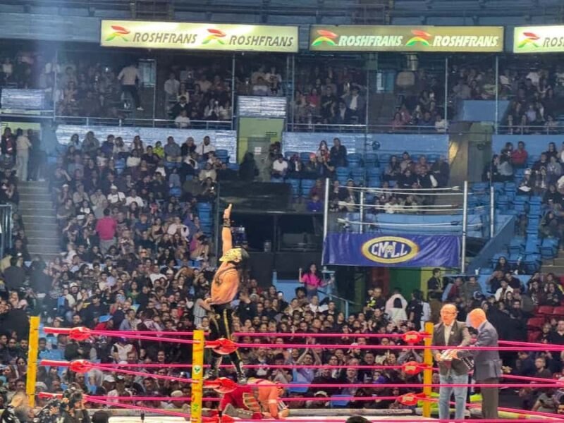 The best experience Lucha Libre & Tacos in Mexico City - Logistics: Pickup, Seating, and Crowd Experience