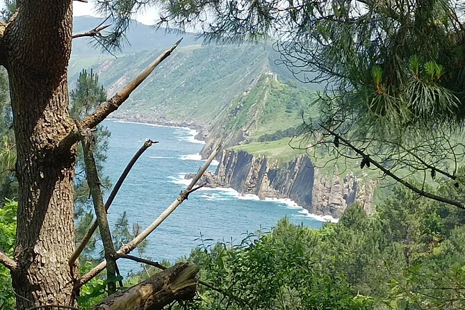 The Best Hiking with a Cliff View in San Sebastián - Reaching Pasajes: The Fisherman’s Town Finale