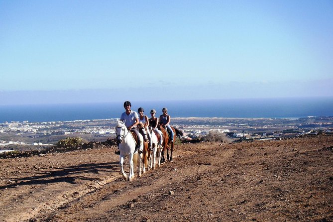 The Best Horse Riding Experience in Gran Canaria (1 hour) - Scenic Views of Gran Canaria’s Mountains from Horseback