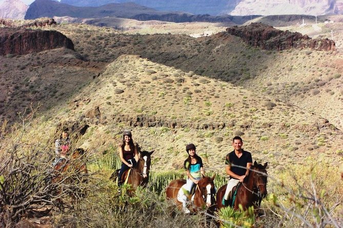 The Best Horse Riding Experience in Gran Canaria (1 hour) - Weather Considerations and Cancellation Policy