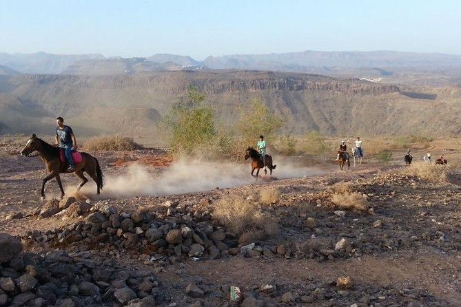 The Best Horse Riding Experience in Gran Canaria (1 hour) - Who Will Enjoy This Tour Most?