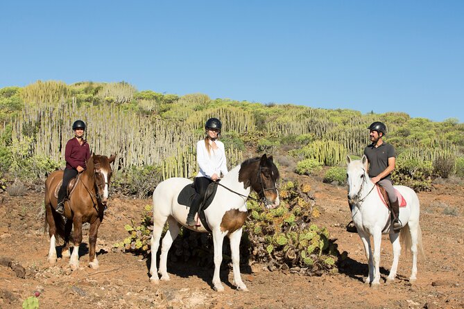 The Best Horse Riding Experience in Gran Canaria (2 hours) - Experience for Beginners and Families