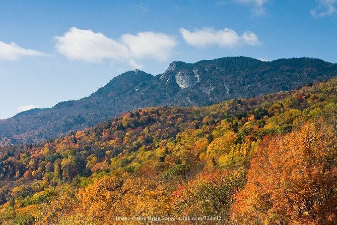 The Best of Asheville: Private 2.5-hour Walking Tour - Exploring Downtown Asheville’s Art District